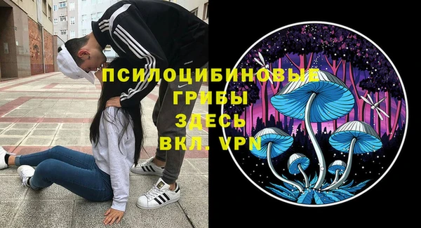 таблы Арсеньев
