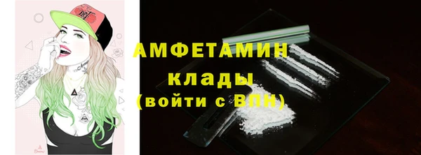 гидра Аркадак