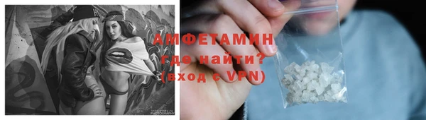 гидра Аркадак