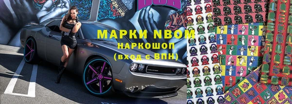 гидра Аркадак