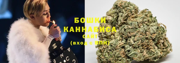 гидра Аркадак