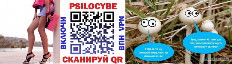 Купить закладки  Североуральск  Галлюциногенные грибы Magic Shrooms 